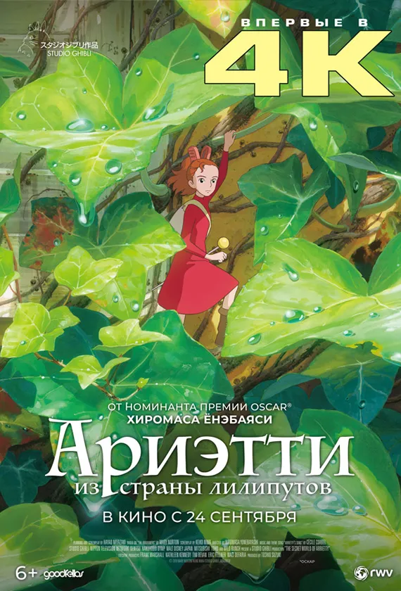 Постер